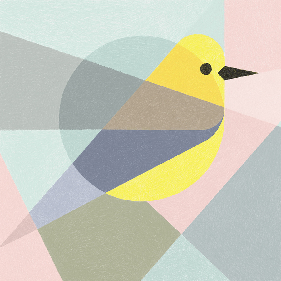 bird oiseau crayon pencil géométrique geometric Sylized stylise textile Couleur