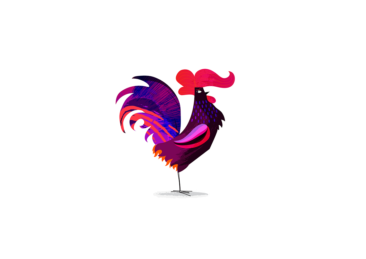 Rooster color bright vector bird chicken