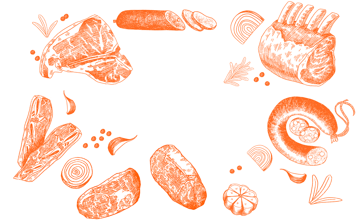 Adobe Portfolio packaging design ILLUSTRATION  meat sausage Garlic food illustration butcher drawing ingredient illustration vector drawing