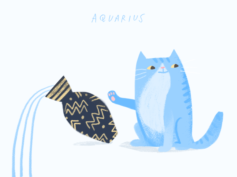 Cat zodiac aquarius spill