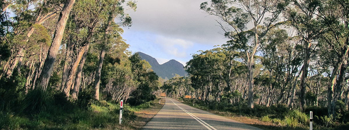 tasmania  australia  landscape  nature  mountains  sky  sun  light  trees  forrest  road