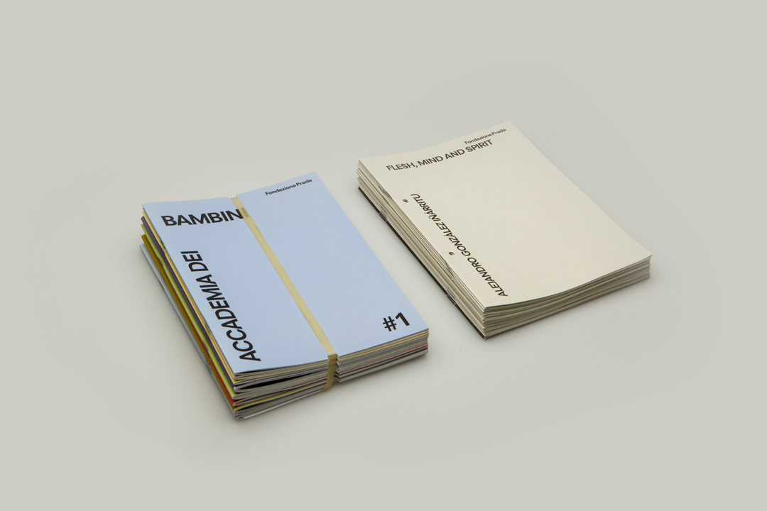 editorial design  Exibition Design book design