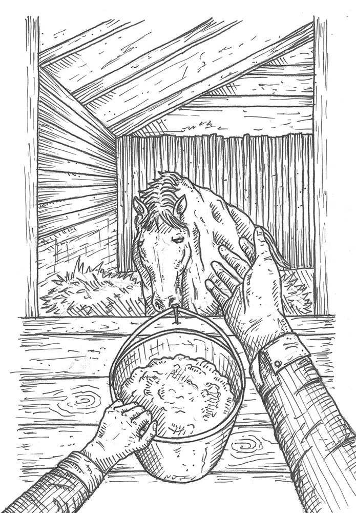 war horse book Scenes horse book design book illustration