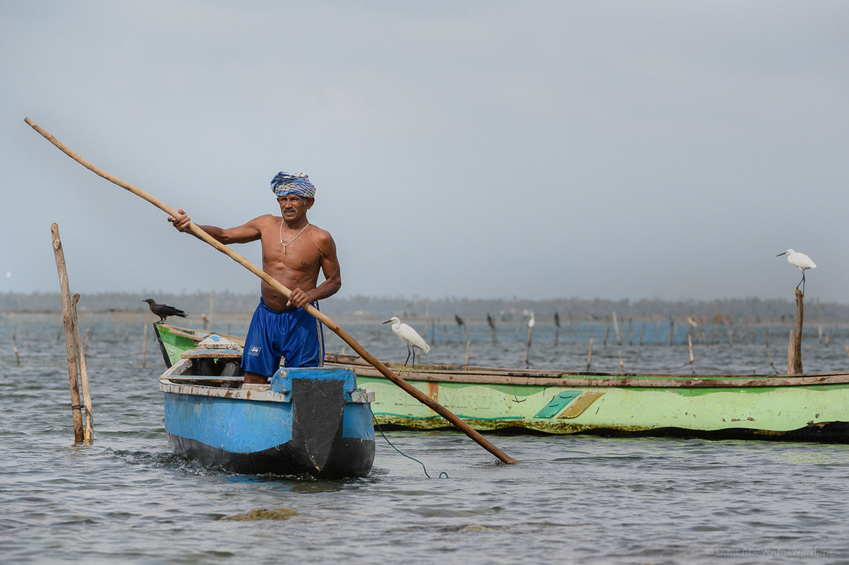 Fisherman - Jaffna Lagoon - Sri Lanka
