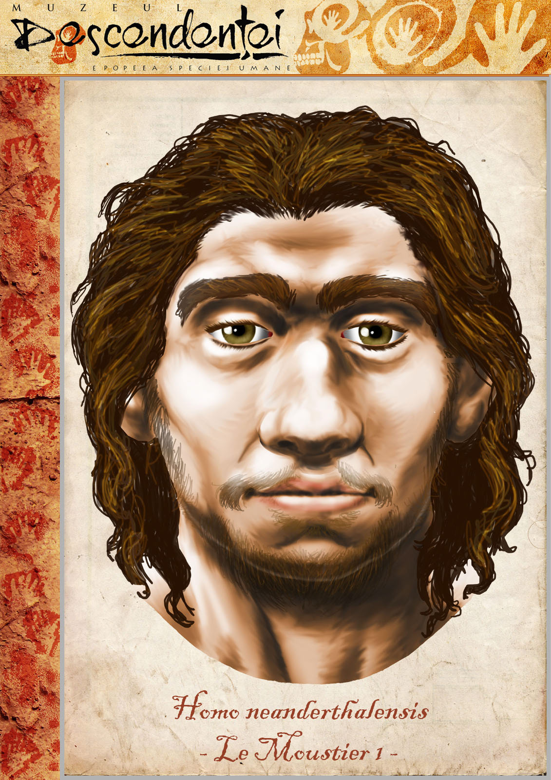 homo neanderthal Le-Moustier child human evolution australopithecus afarensis habilis ergaster erectus paranthropus boisei cro-magnon ardipithecus