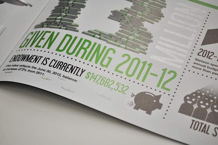 design infographics Facts brochure ANNUAL report stetson University college Icon inconography humor