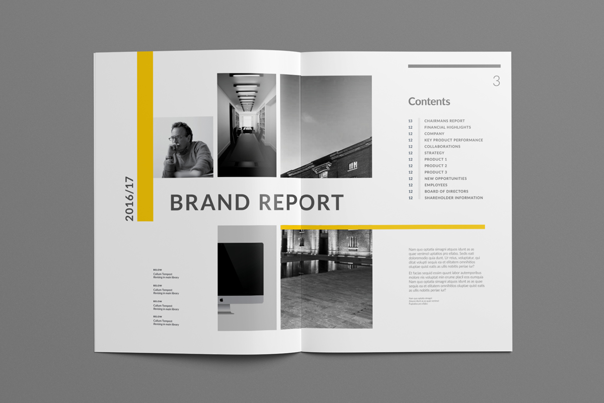 InDesign template annual report us letter a4 report temply brochure