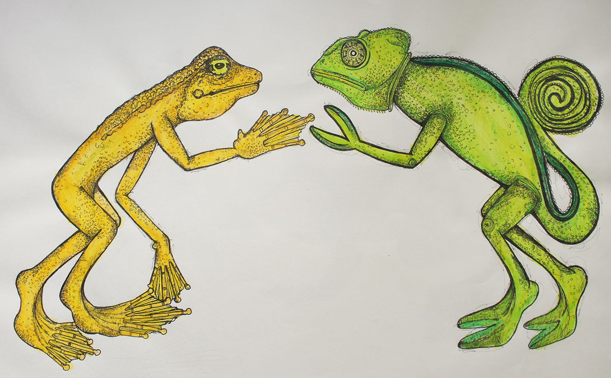 hand draw ilustracion animals colours morfo