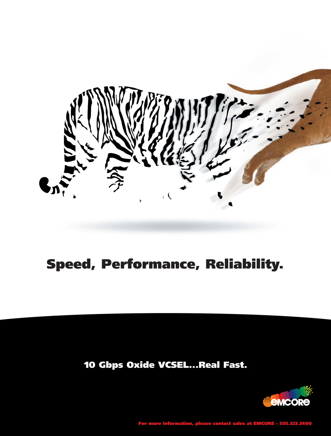 Adobe Portfolio print ads Whale tiger recruit water