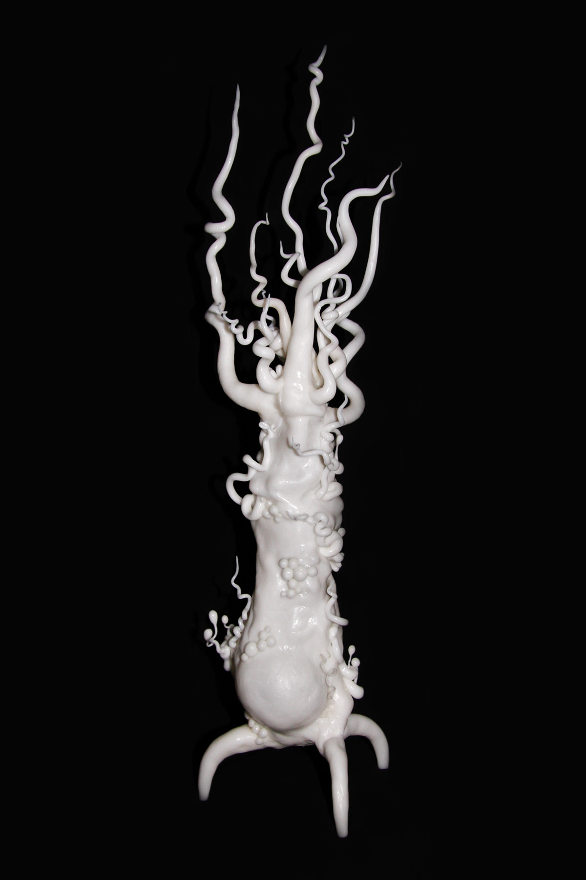 polycaprolactone  plastic  biomorphic  organic Nature  white  surreal  abstract Tendril  ornate  intricate  twisty strange  claire jackson curiosity  seeds  science