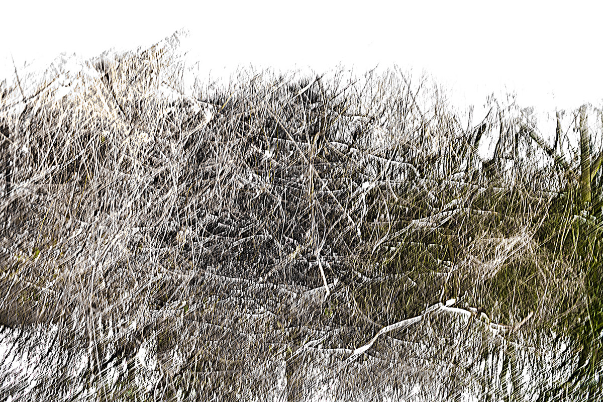 snow art walk Landscape motion blur abstract