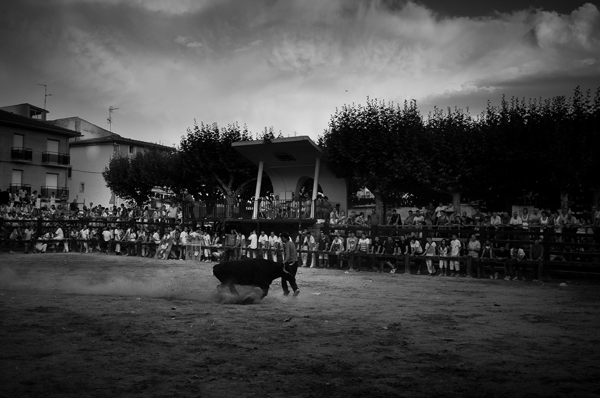 camino bullfight Travel portfolio
