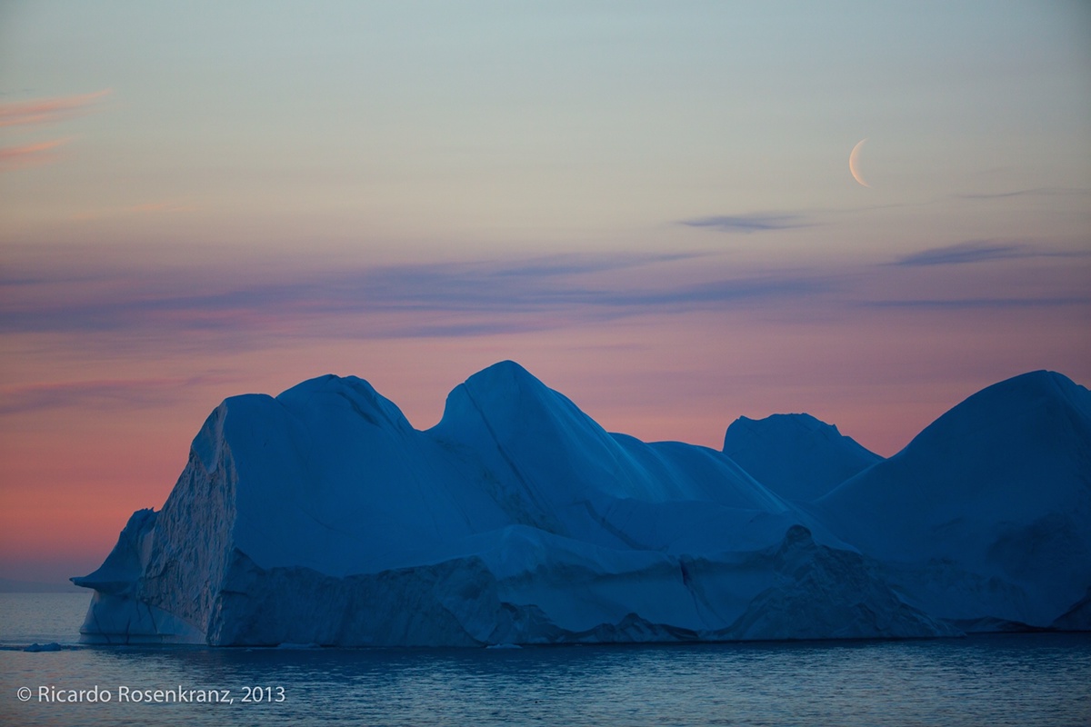 Travel photojournalism arctic photography Wildlife photography