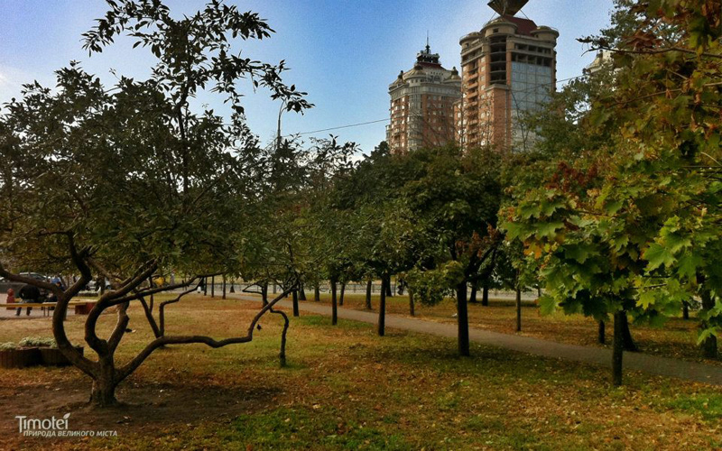 iphone iPhoneography commercial kiev ukraine grocap Nature Urban urban nature city instagram