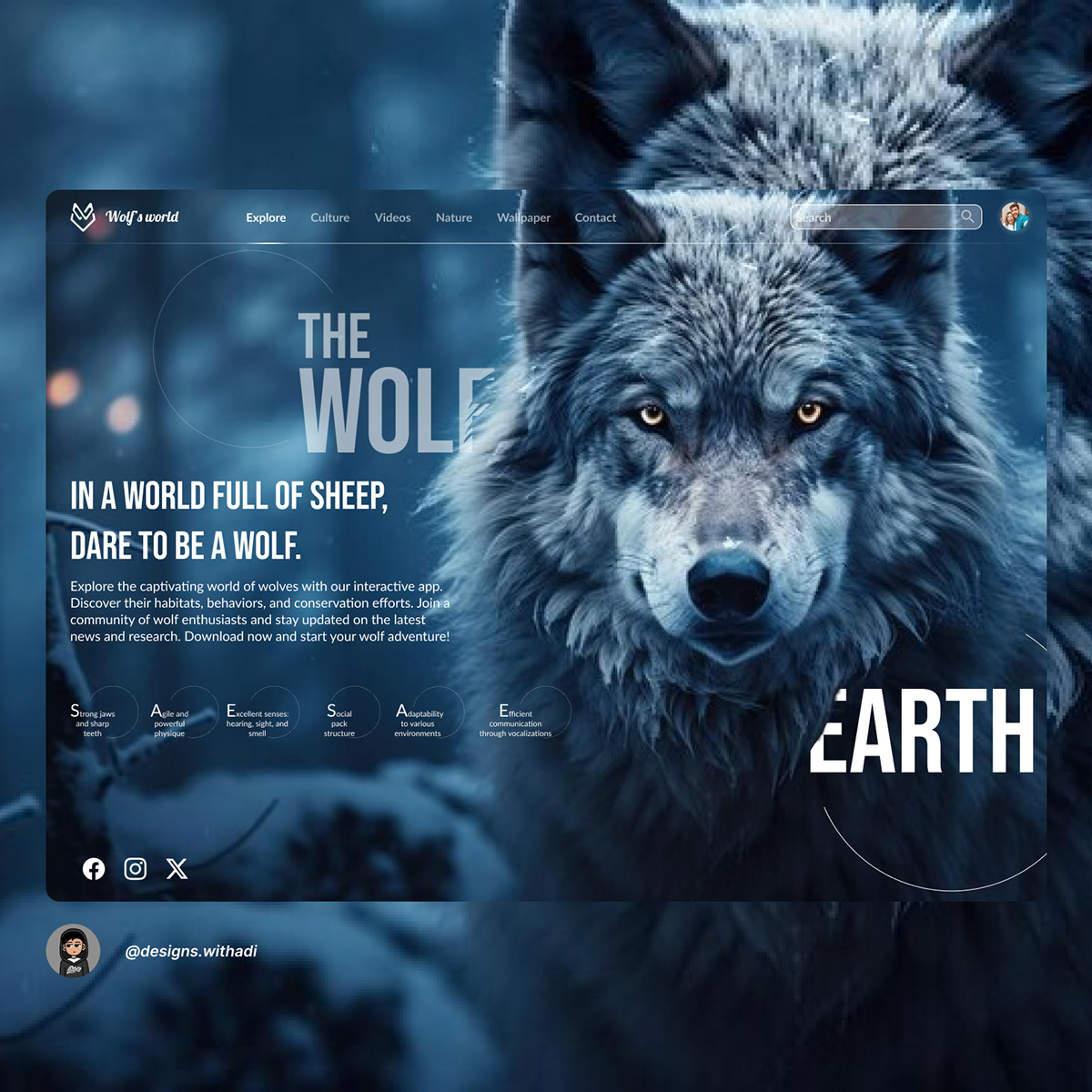 animal artwork Character design  wolf forest fantasy concept art digital illustration Graphic Designer brand identity