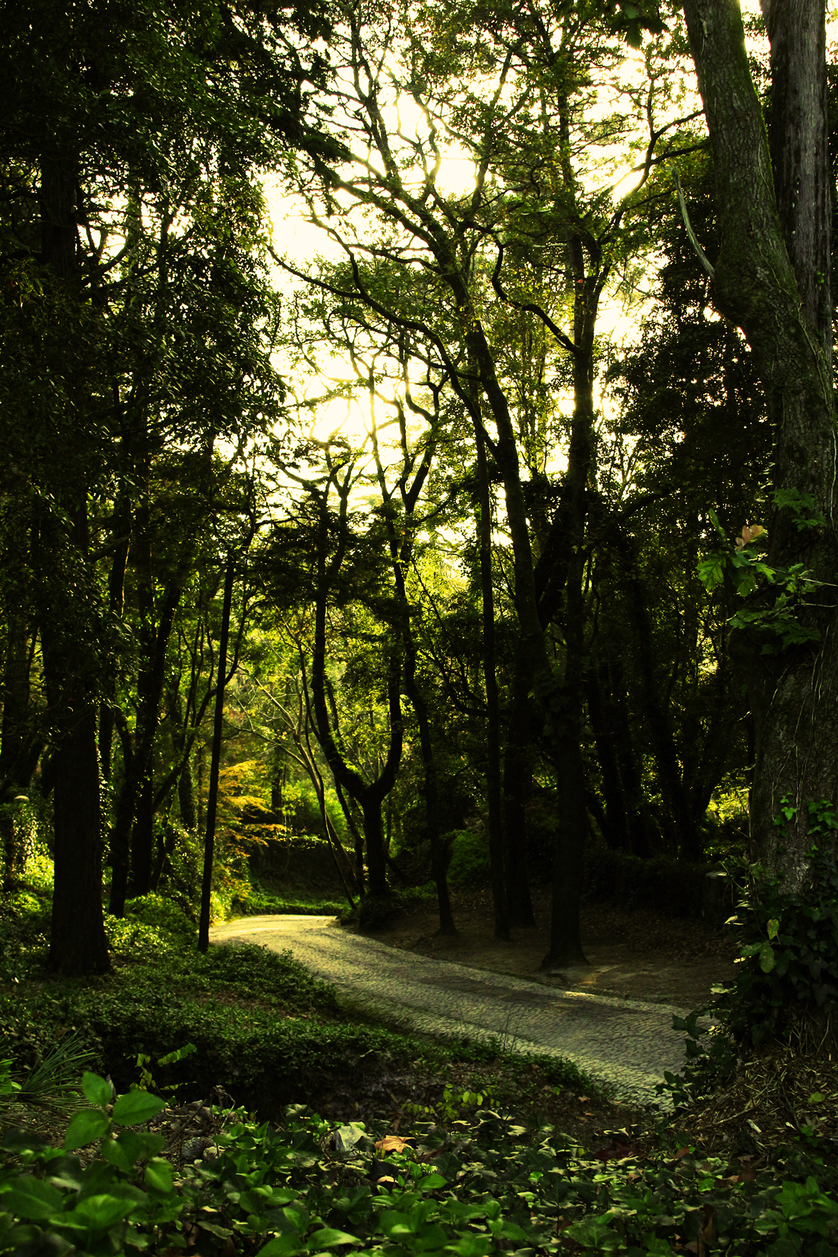 sintra Nature Portugal Landscape monuments