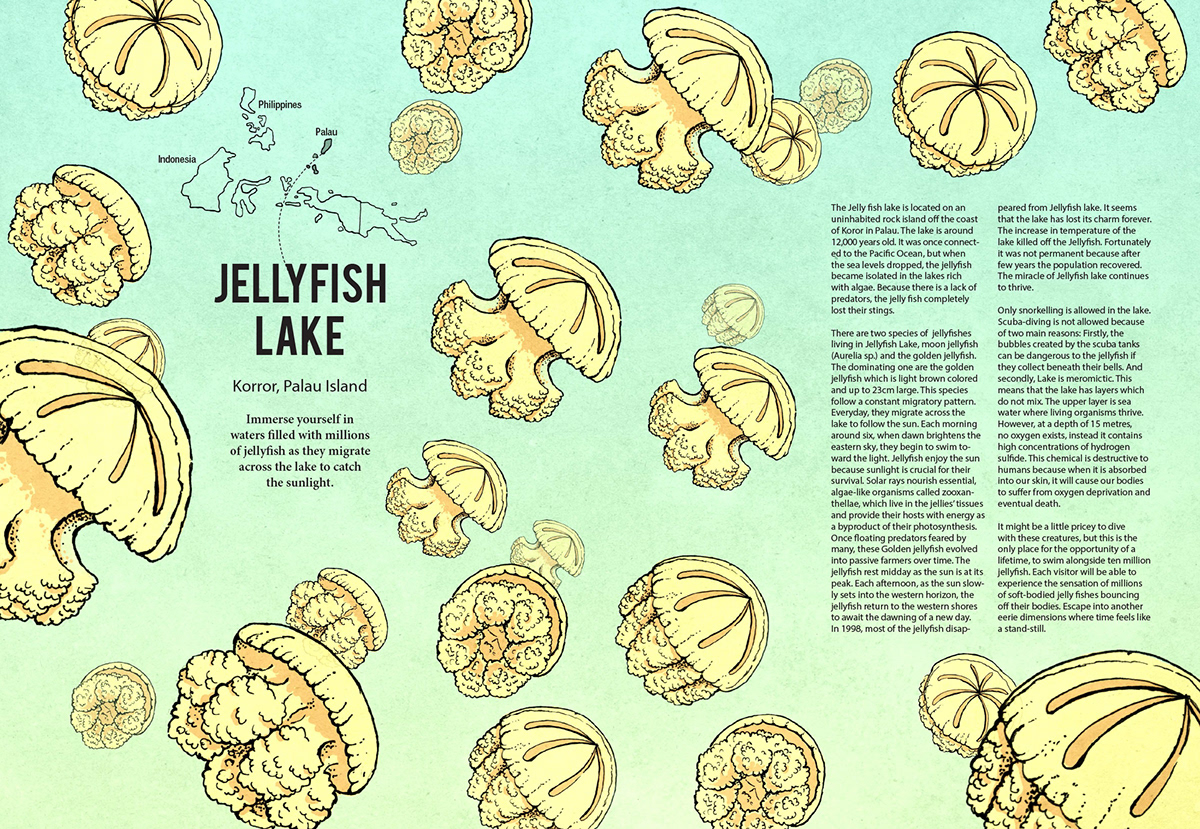 escapism esc magazine publication cover Trichotillomania lucid dreaming dream dreams Nature movie Movie review Movies Travel jellyfish
