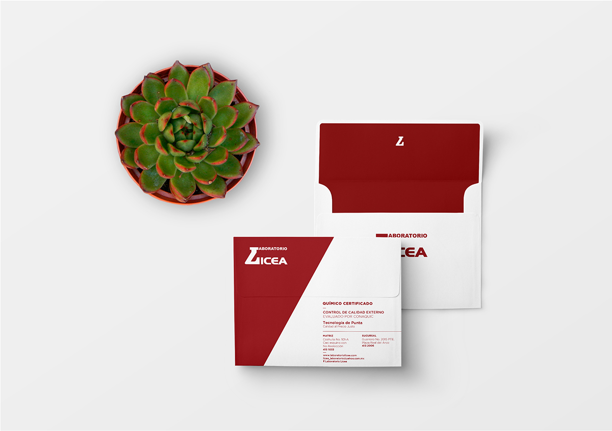 Licea lab clinic identity Stationery