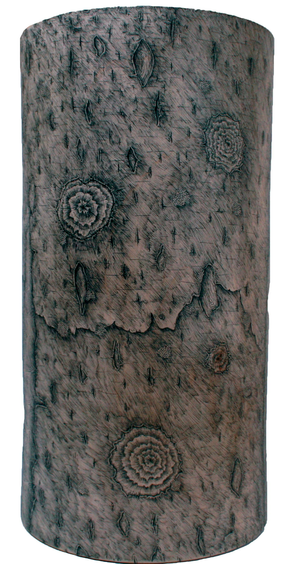 wood log forest Nature detail natural hand drawn pen fine liner texture bark