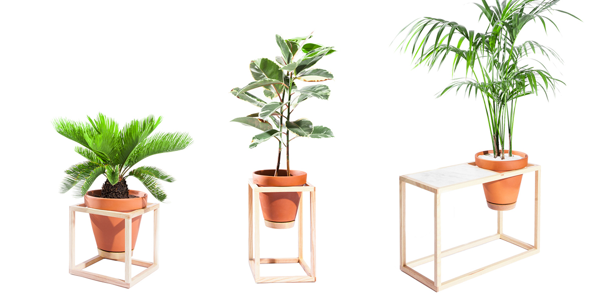 Plant Planter frame cube ash terracotta terra cotta modern simple wood trey jones broadcast contemporary indoor planter