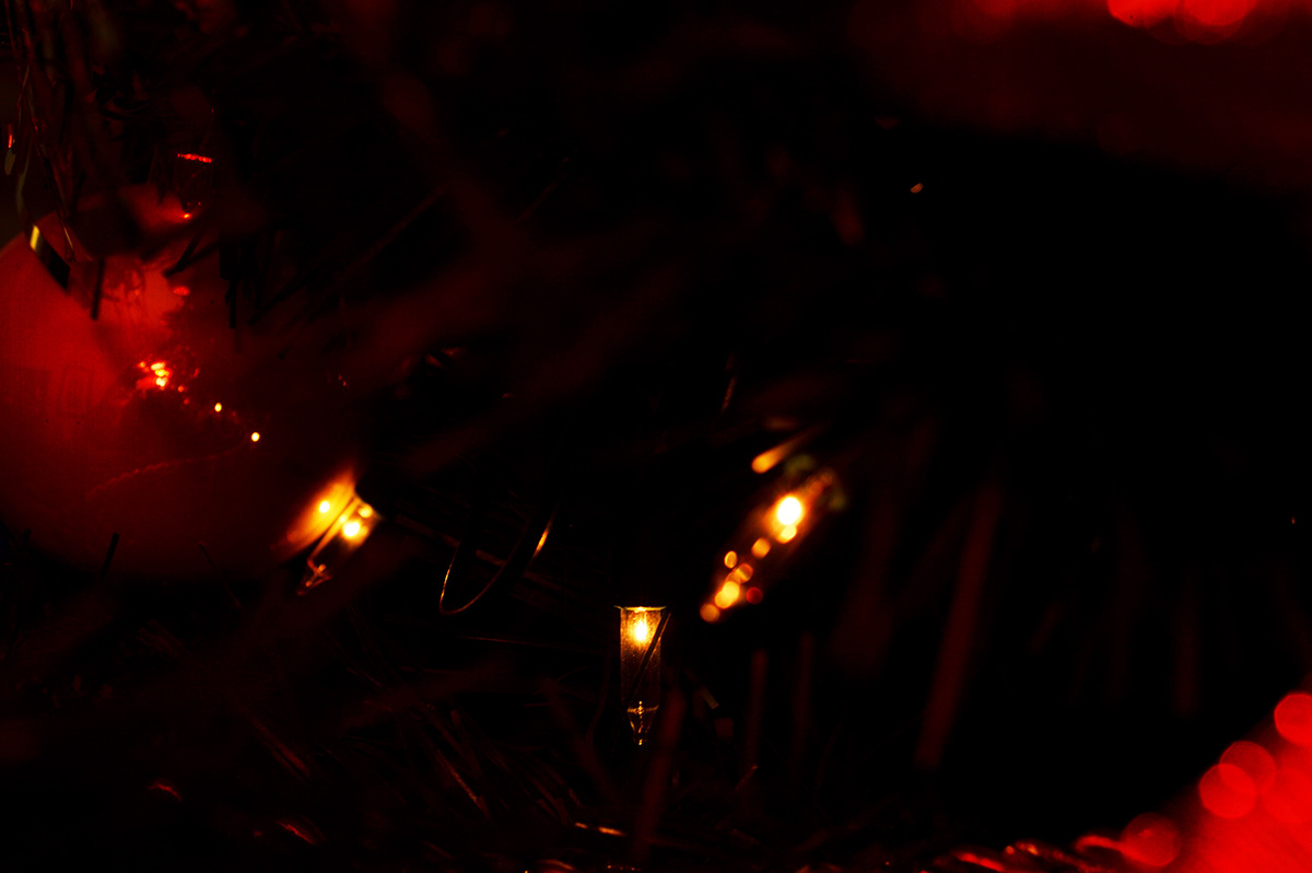 Christmas lights christmas Tree poinsettia flower  spheres
