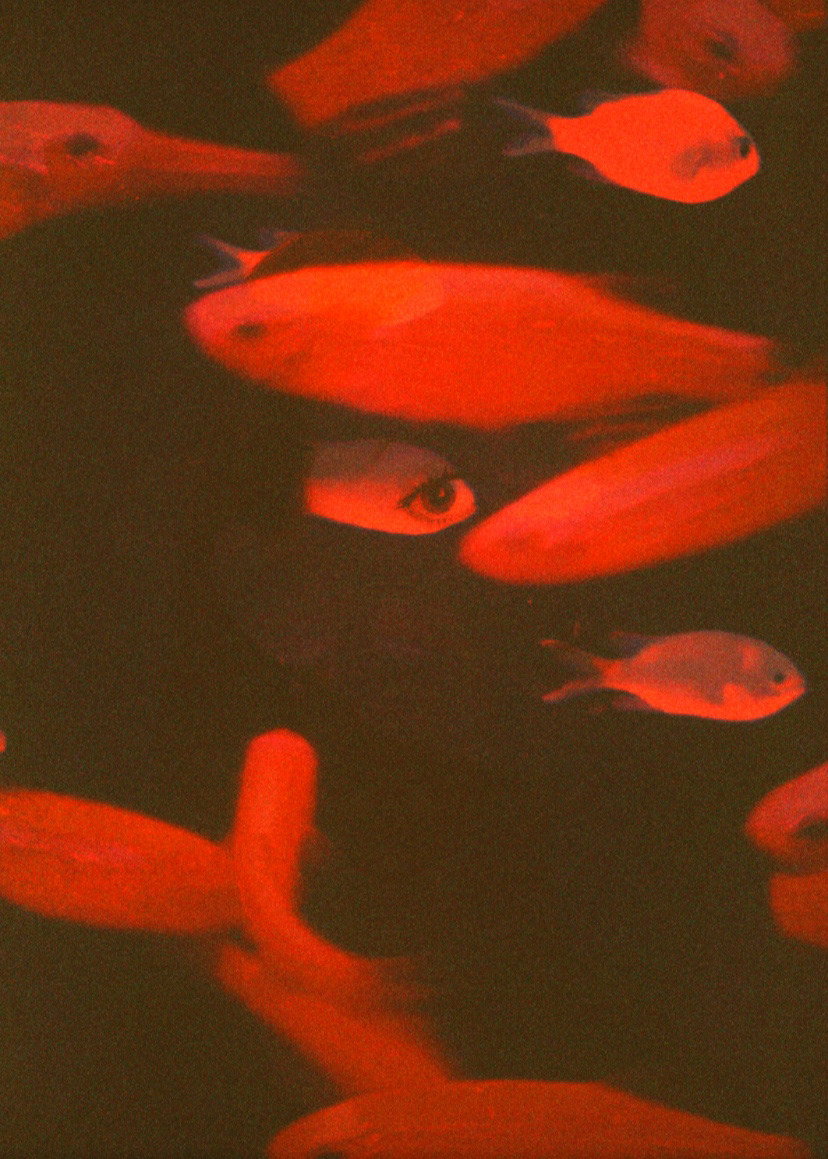 double exposure fish analog photography film photography portrait photography self portrait autoportrait 35mm Photography 