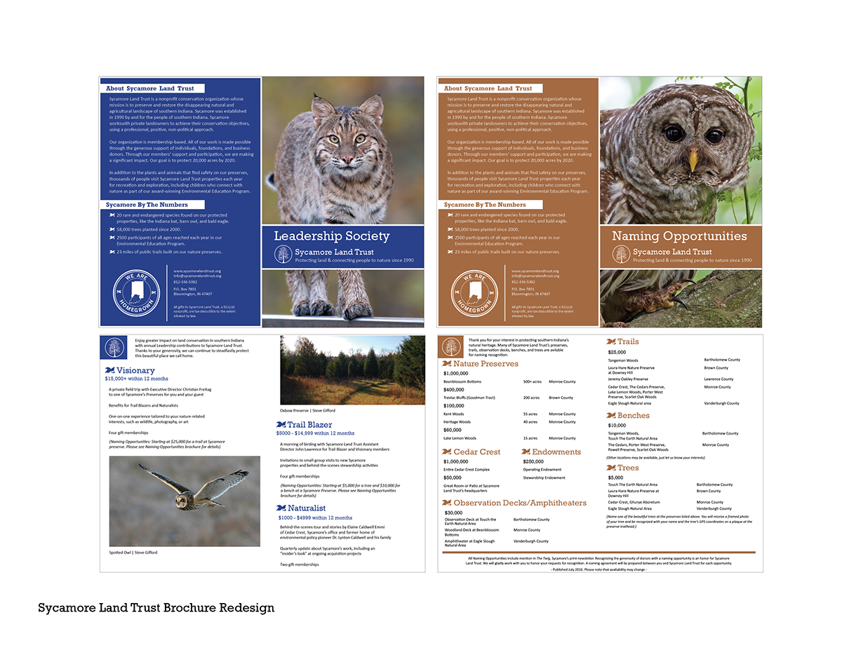 brochure information design wildlife environmental