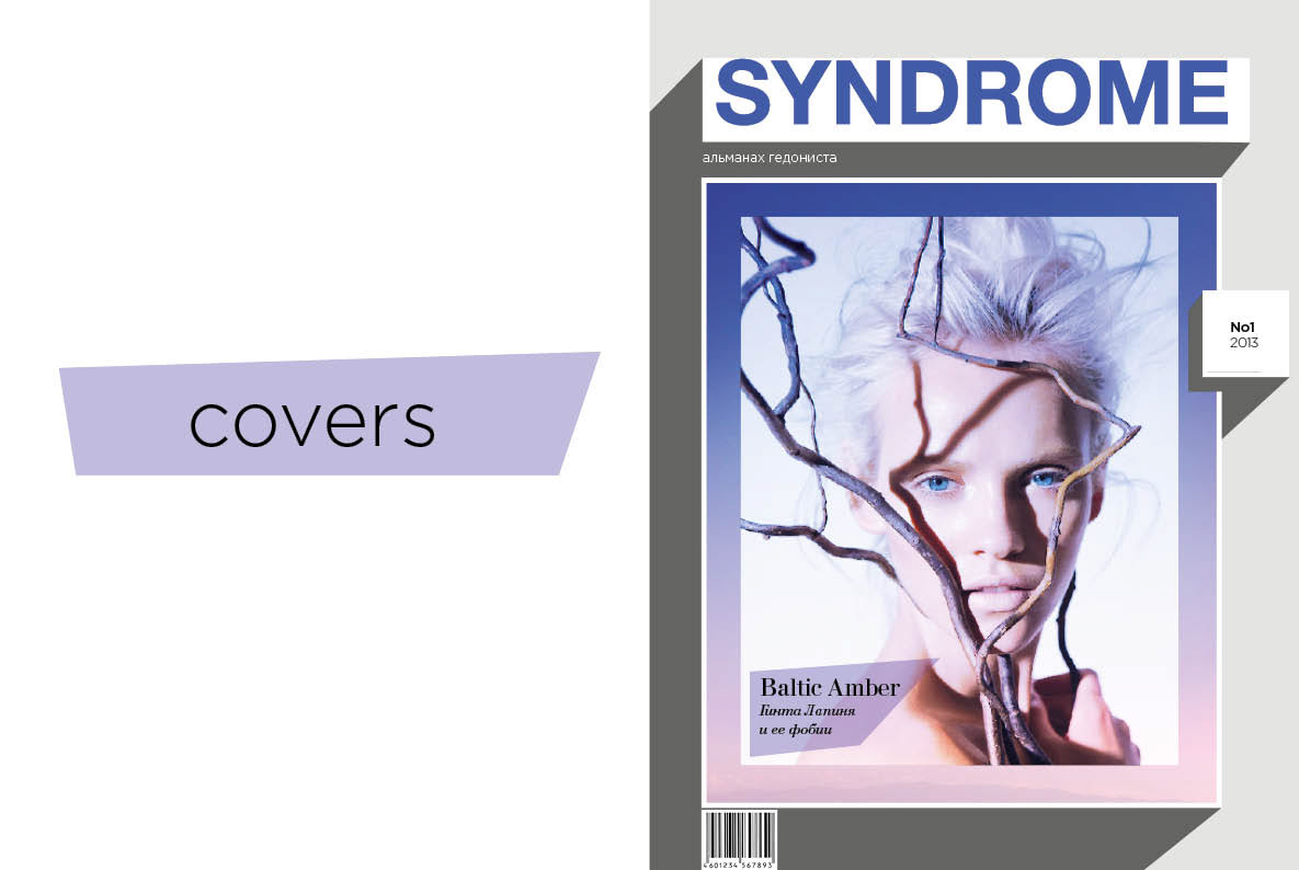 syndrome magazine perevalov BHSAD diploma project fanzine