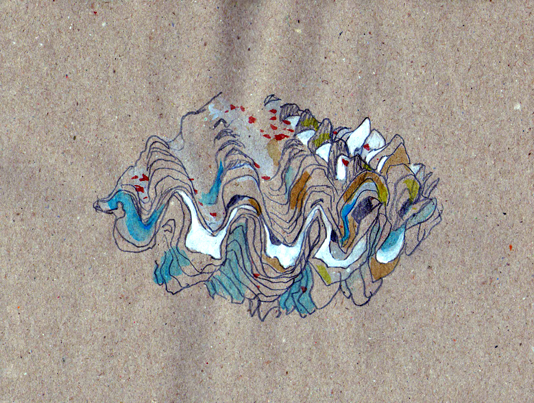 watercolor shell organic sea marine fauna sketch Fragile