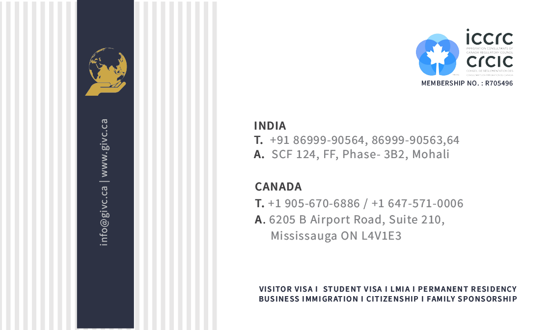 brand identity business card graphic design  Logo Design print design 