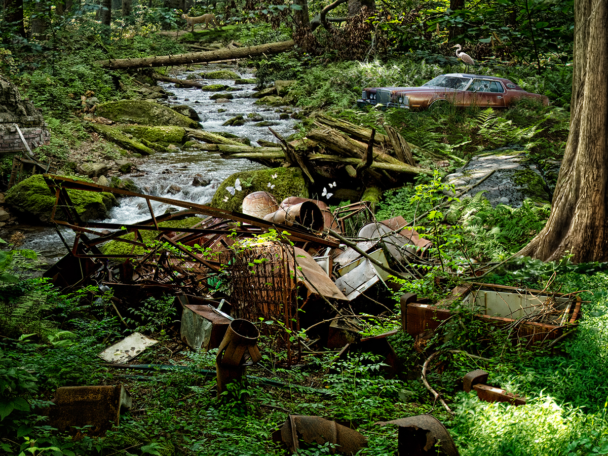 fifth world Nick Pedersen post-apocalyptic future Suburban forest animals Nature inspire photoshop photomanipulation photoillustration