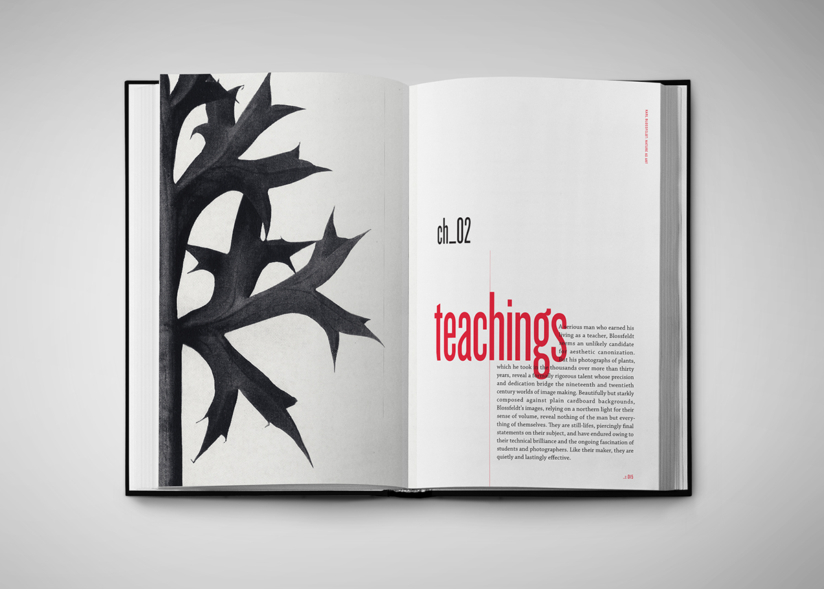 plants Layout exciting vibrant Project red University paragraph print knockout Baskerville clean type minimal simple