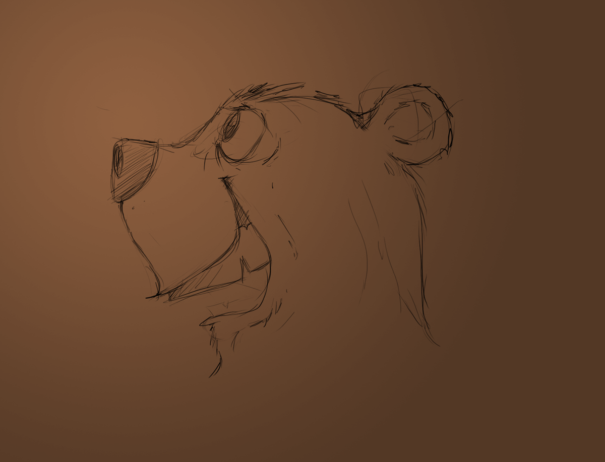 bear paSCa process sketch