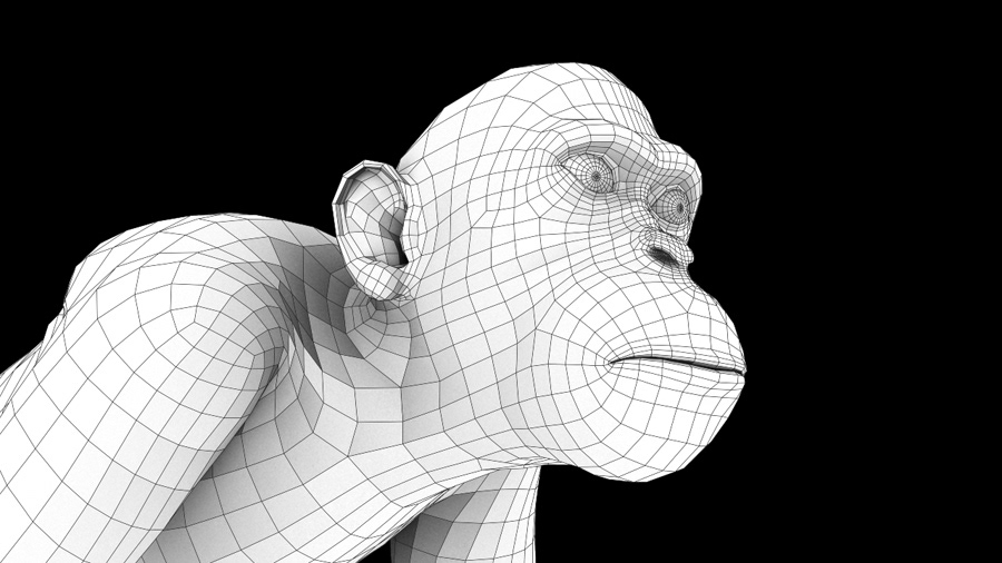 chimpanzee monkey Fur Maya Zbrush animal Sculpt