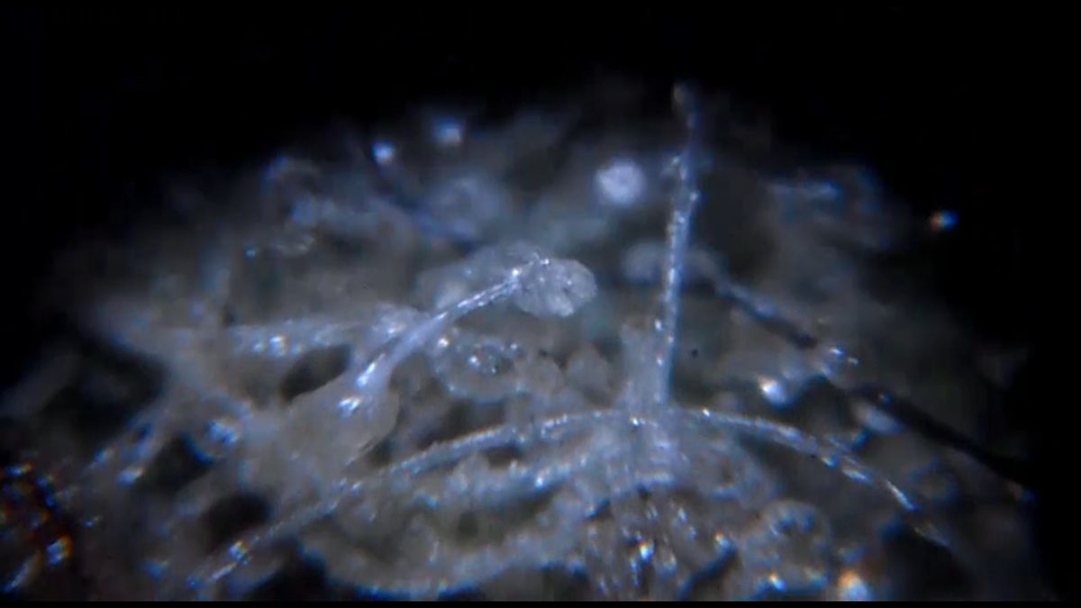 video art dream Aroma Nightemare crystals sugar mysterious