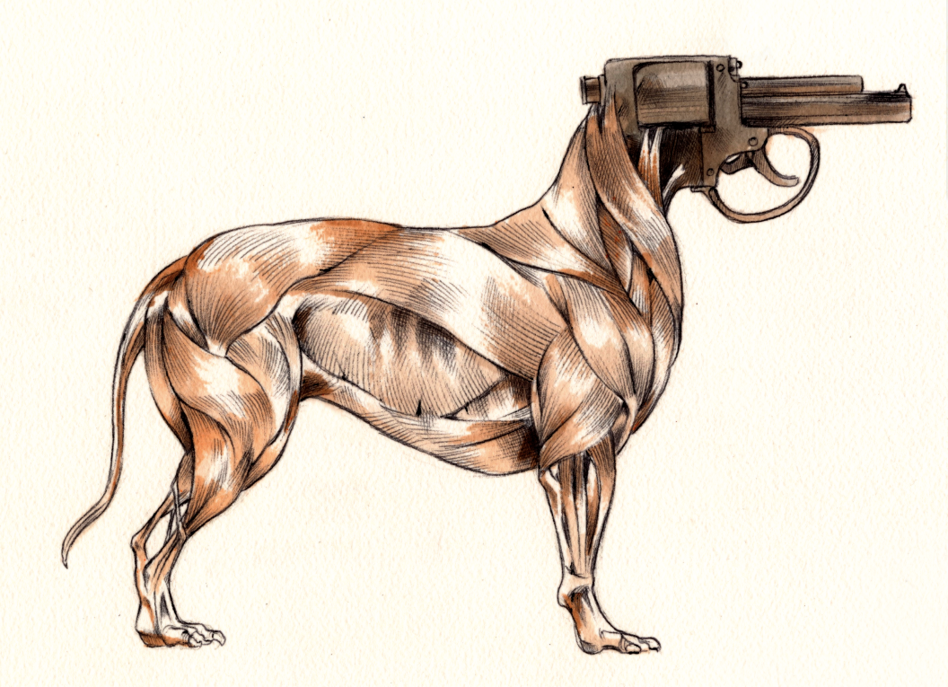 medical firearm Gun guns animals dog Cat anatomy anatomical traditional creepy technical
