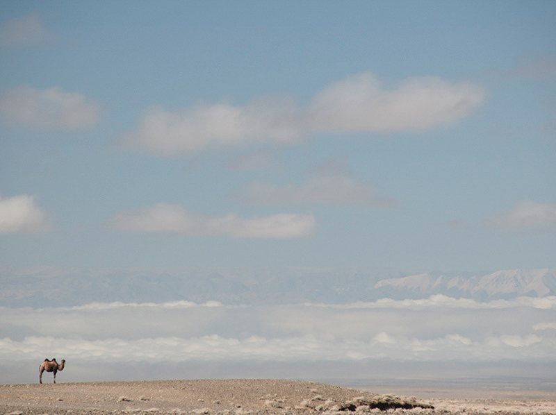 mongolia trip Landscape portrait asia gobi desert doc photos documentary photos