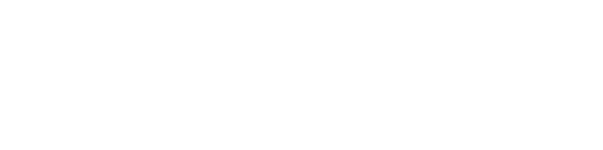 logo Logo Design branding  conference branding Web Summit