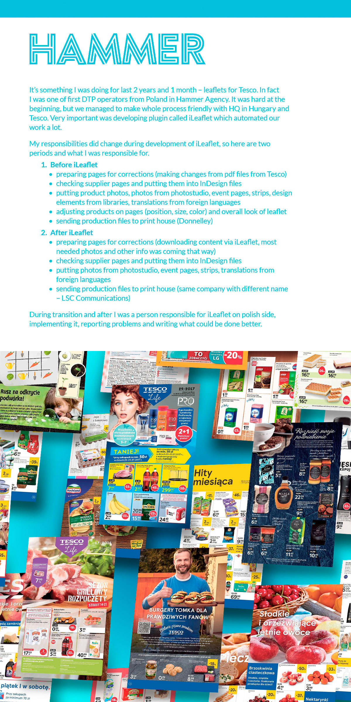 graphic graphic design  dtp portfolio Job Searching  CV Project Logo Design leaflet
