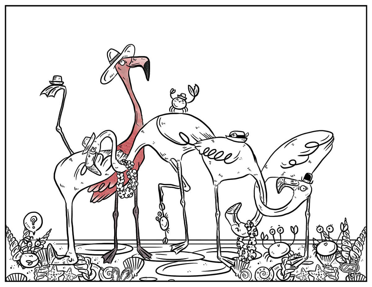 colouring books doodle bird ILLUSTRATION  book design branding  cartoon