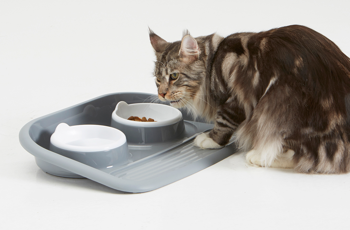 animal bowl dog plastic Food  Feeding Cat Pet tray butler Savic