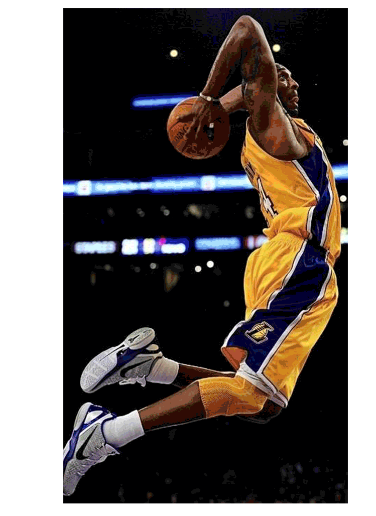 artwork digital illustration ILLUSTRATION  Kobe Bryant NBA Art poster Poster Design stefano marra basket NBA
