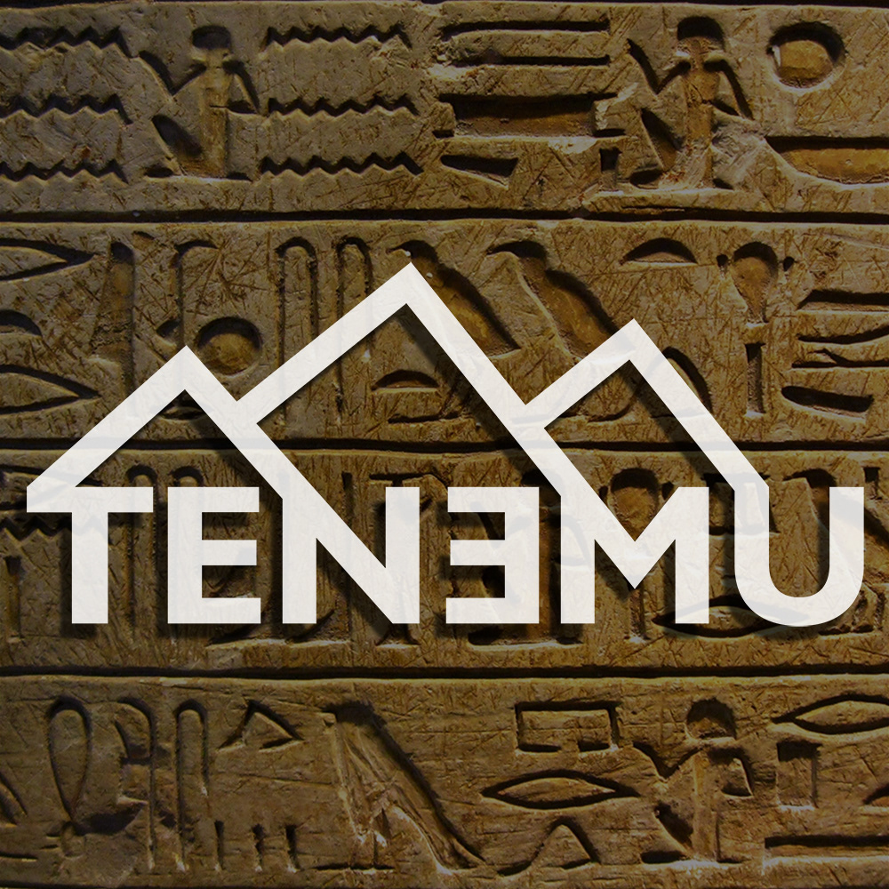 tenemu beer craft beer logo branding  Moldova brewery design