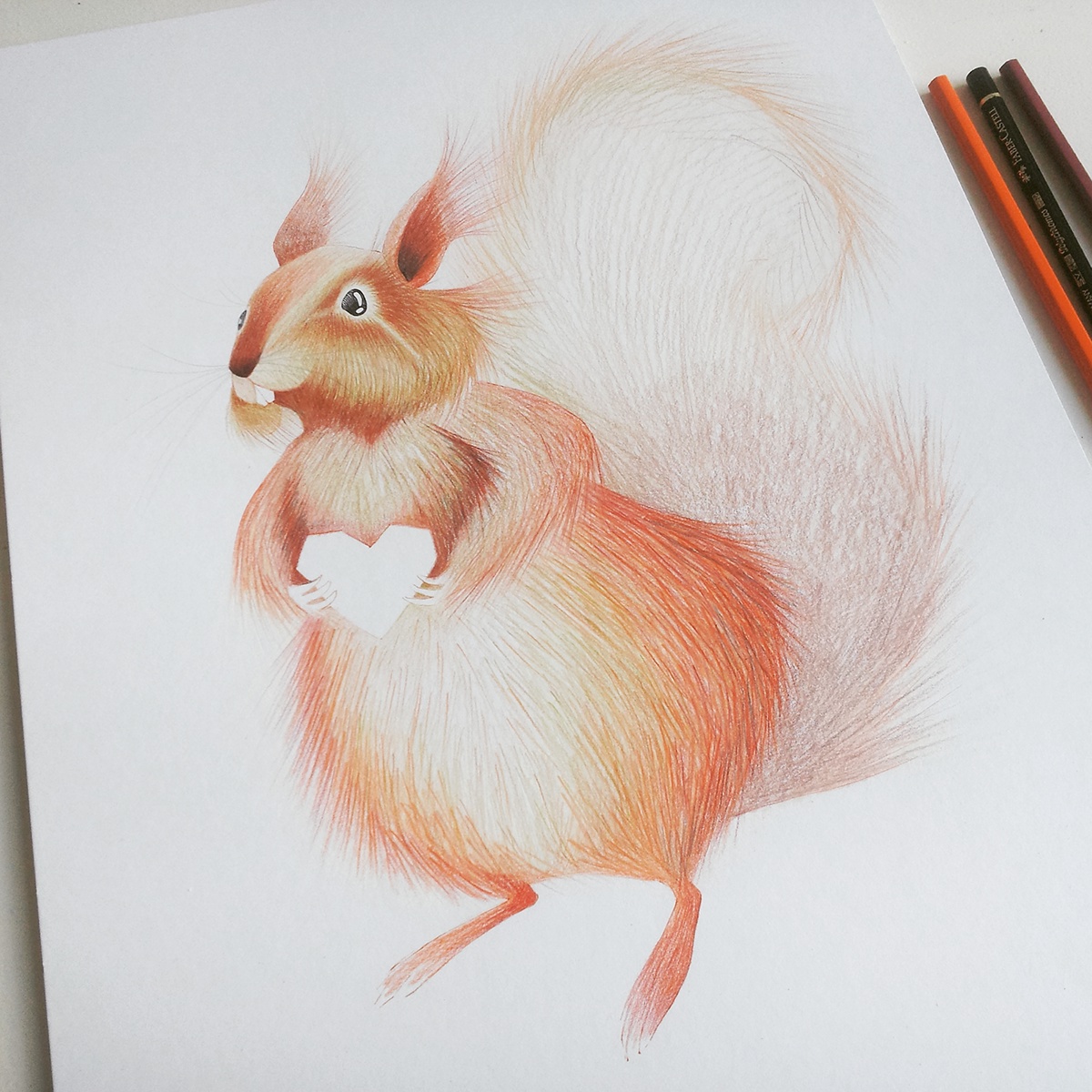 squirrel animal orange heart green forest Nature draw pencil paper