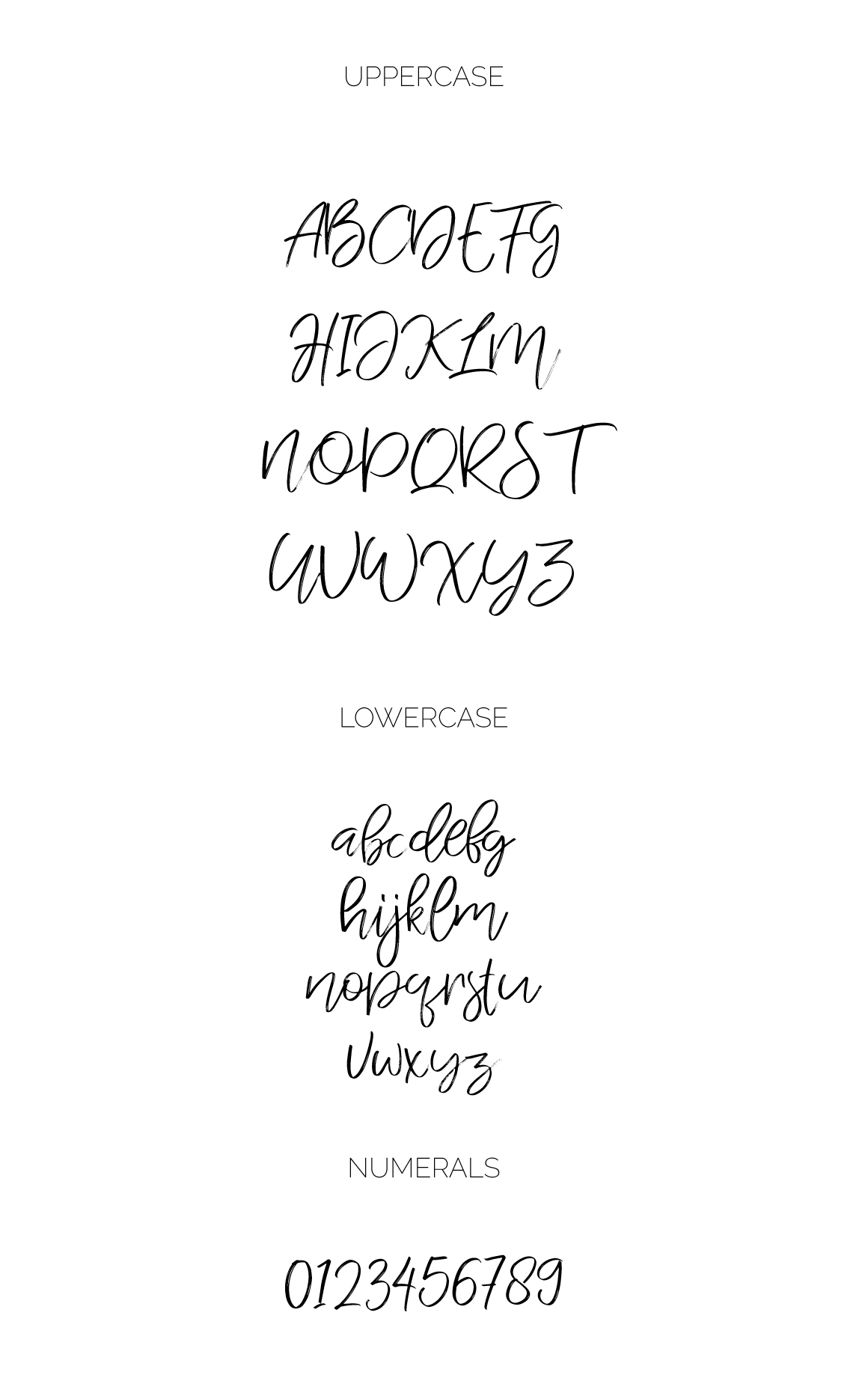 free freebie font fonts Script modern handwritten branding  Calligraphy   typography  