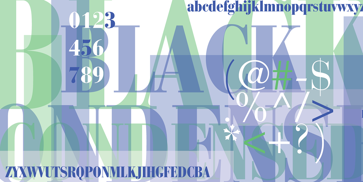 Adobe Portfolio typography   type type sample Grpahic design