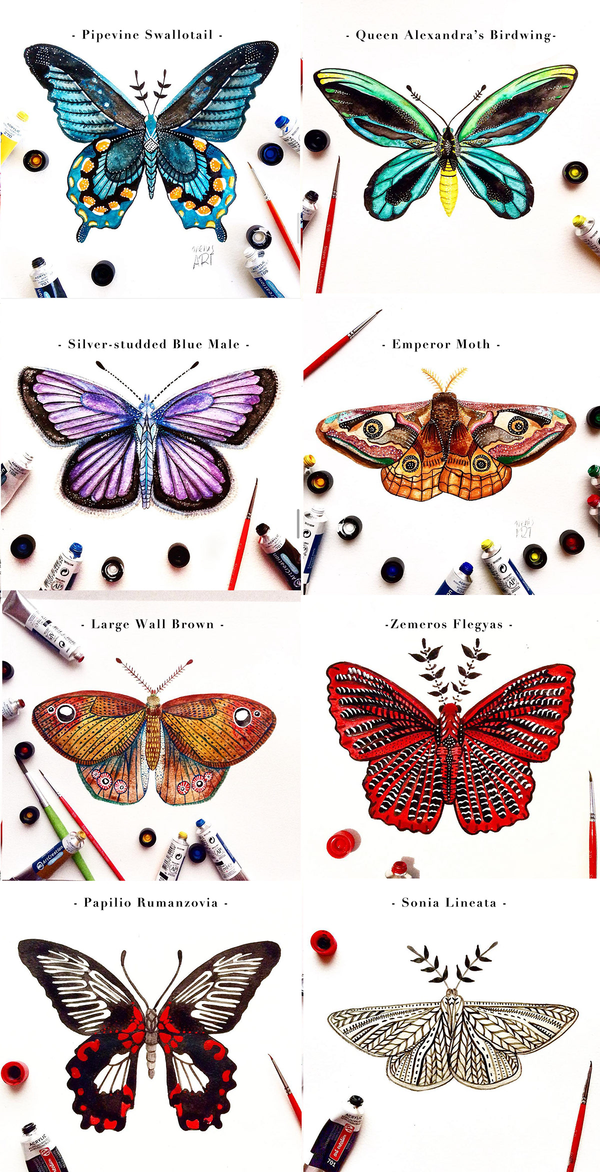 butterfly challenge fine art graphic design  ILLUSTRATION  melpomenichatzipanagiotou Nature painting   portrait