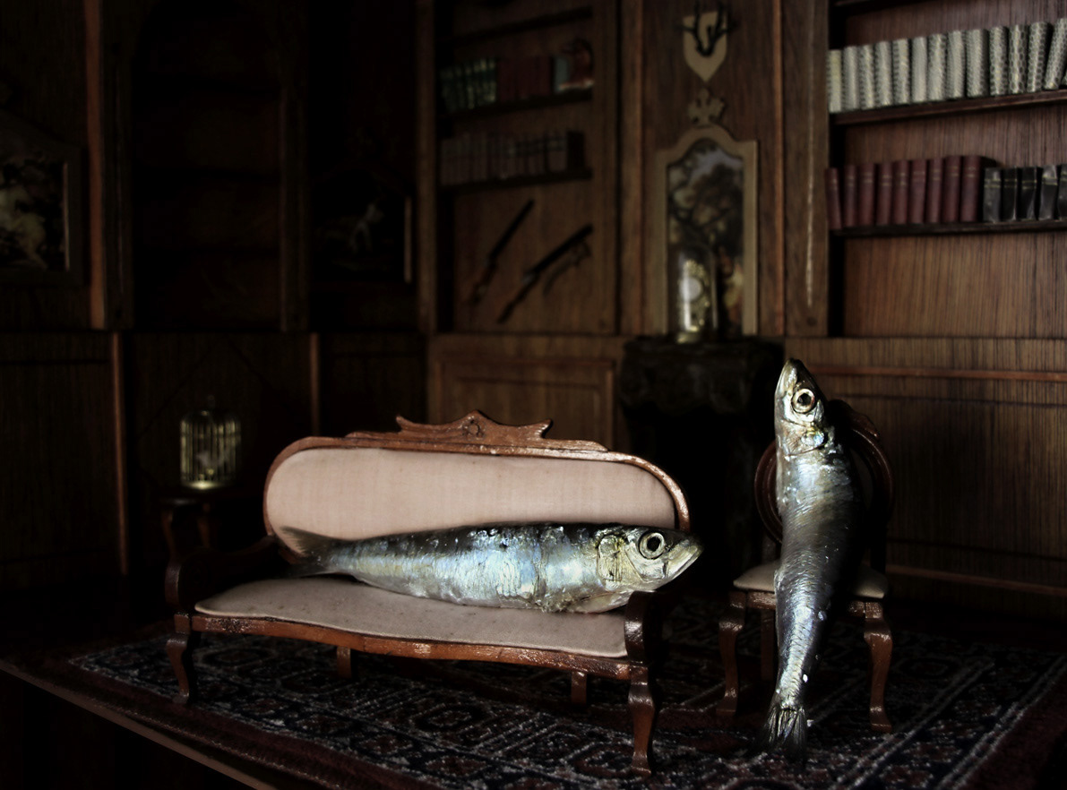 fish portrait woman girl eerie bizarre surreal quirky conceptual feminity