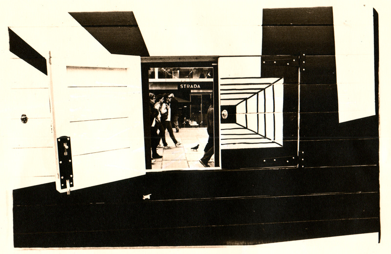 lith printing black and white Analogue analog darkroom lith Printing