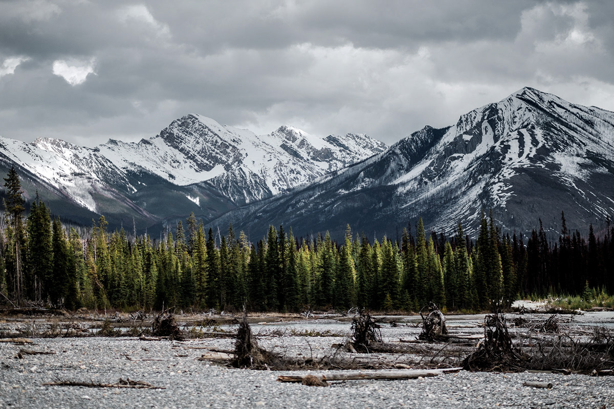 Canada Rocky Mountains vancouver island RoadTrip alberta british columbia Landscape Travel